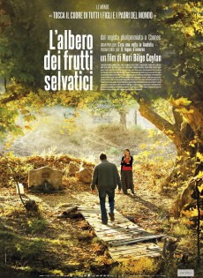 L'albero dei frutti selvatici (2018)
