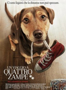 Un Viaggio a Quattro Zampe (2019)