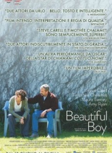 Beautiful Boy (2018)