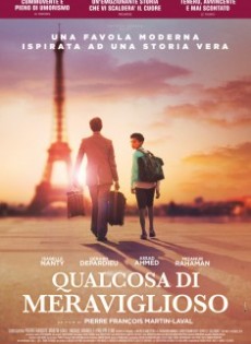 Qualcosa di Meraviglioso (2019)
