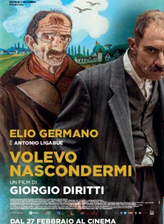 Volevo nascondermi (2020)