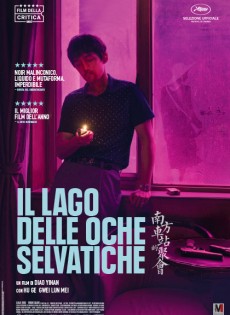 Il lago delle oche selvatiche (2019)