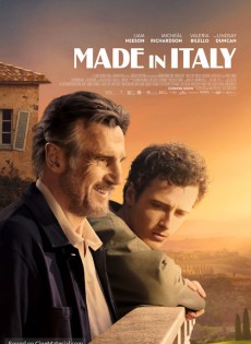 Made in Italy (2020)