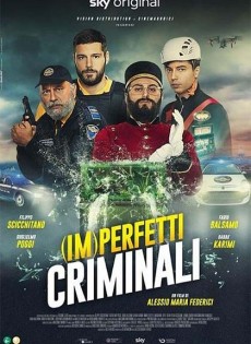 (Im)Perfetti criminali (2022)