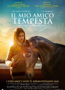 Il mio amico Tempesta (2023)