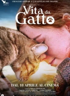 Vita da gatto (2023)