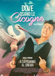 Dove osano le cicogne (2025)